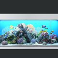 Modern Fish Tank Popular Fish Tank 3d model