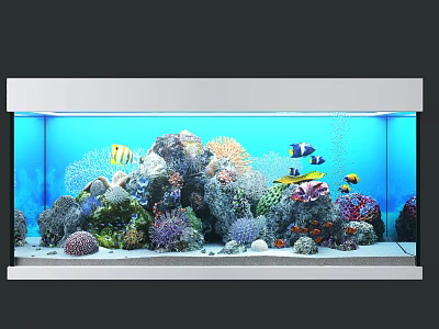 Stunning Aquarium Fish Tank With Colorful Tropical Fish And Coral Reef Decorations 3d model