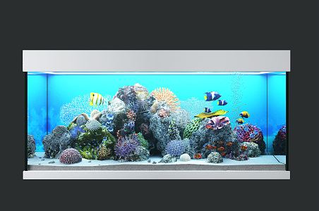 Modern Fish Tank Popular Fish Tank 3d model