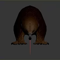 Brown Wombat Like Game Character Chasing Red Laser Pointer On Gray Surface 3d model