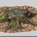 Natural Stone and Wood Stump Surrounded by Fallen Leaves and Green Moss