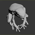 White Frog 3D Model With Black Eyes On Gray Background And Reflection 3d model