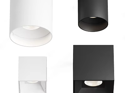 Modern Downlights And Spotlights Featuring White Round And Black Square Design Styles 3d model