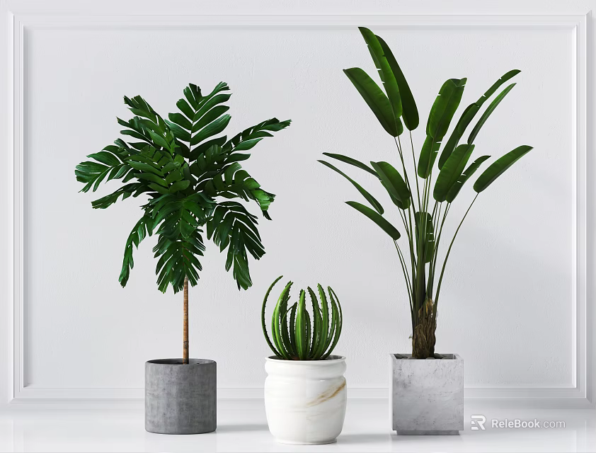 Three Bonsai Potted Plants With Green Leaves In White And Gray Pots For Home Decor 3d model 