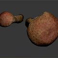Orange Textured Mushrooms With Spotted Caps And Stems On Dark Background