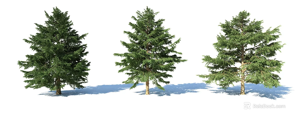 Three Evergreen Arbor Trees With Green Foliage Brown Trunks And Shadows 3d model 