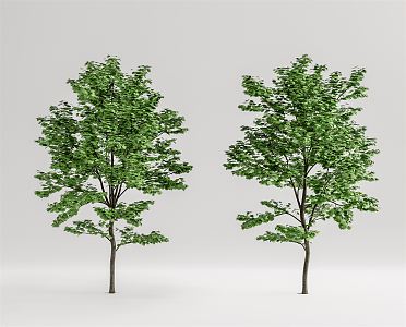 Modern Tree Landscape Tree 3d model