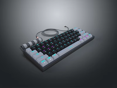 RGB Backlit Mechanical Keyboard With Mechanical Switches Ergonomic Keycaps And Braided Cable 3d model