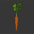 Fresh Organic Carrot with Green Leafy Tops on Dark Background