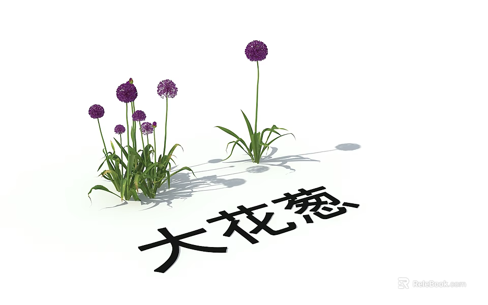 Vibrant Giant Allium Plants With Purple Globe Flowers And Green Stems 3d model 
