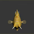 Yellow Horned Fish With Spotted Body Spines Big Eyes And Reflective Surface