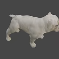 White English Bulldog Standing In Realistic 3D Render With Dark Background