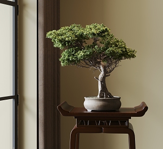 New Chinese potted plant welcome pine 3d model