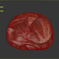 Round Decorative Stone Surface With Hand Painted Sleeping Cat Art Design