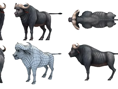 Reptile 3D Model Various Angles Wireframe Display And Anatomical Details 3d model