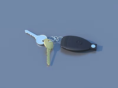 Silver And Gold Keys With Black Car Remote Keychain Attached For Daily Use 3d model