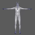 Detailed Human Muscle Organ Anatomy 3D Model Showing Full Body Structure