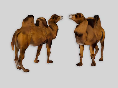 Two Reptiles Standing Face to Face with Brown Skin and Natural Posture 3d model