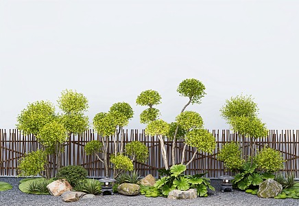 Lollipop Ligustrum combined modeling Ligustrum landscape modeling tree courtyard sketch fence 3d model