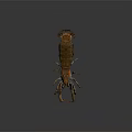 Detailed Realistic Lobster With Long Antennae And Claws On Dark Background