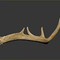 Antler Weapon Handcrafted Primitive Hunting Tool With Natural Curved Design