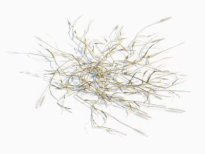 Withered Dried Grass Scattered On White Background With Natural Texture 3d model