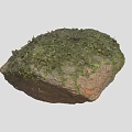 Natural Stone Decorative Piece Covered With Lush Green Moss On Surface Texture