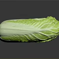 Fresh Green Cabbage With Shiny Surface And Crisp Leaves On Black Background