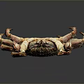 3D Model of Red and Gold Crab with Claws Legs on Dark Background with Reflection