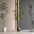 Three Indoor Potted Plants with Different Planters Against Grey Wall and Light Floor 3d model