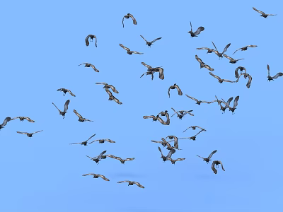 Flock of Birds Soaring Through Clear Blue Sky in Flight Formation 3d model