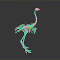 Brown Dinosaur Skeleton Model Display With Long Neck And Gray Gradient Background 3d model