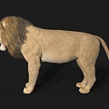 Realistic Roaring Lion 3D Model With Detailed Mane And Open Mouth