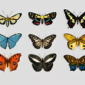 Colorful Butterfly Wall Decor with Various Patterns and Vibrant Designs for Home Decoration