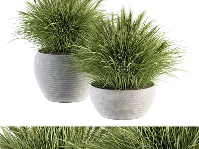 Two Modern Bonsai Potted Plants With Concrete Pots And Long Green Leaves 3d model