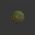 Fresh Green Layered Fruit with Textured Leaves Wrapped in Spherical Shape