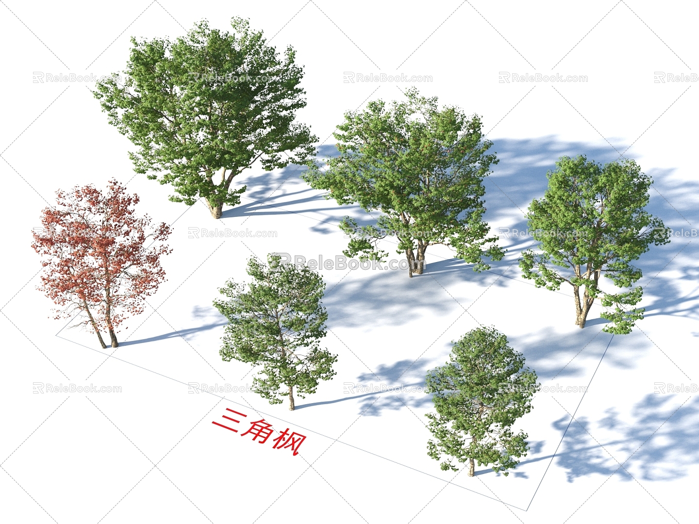 Triangular Maple Trees Plants model