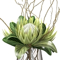 hydroponic green plant flower arrangement vase 3d model