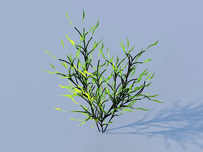 Vibrant Aquatic Plant Featuring Green Leaves Slender Stems And Shadow 3d model