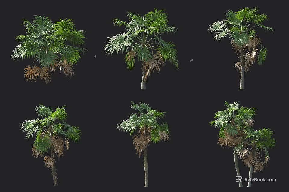 Different Types Of Arbor Trees With Green Leaves And Tall Trunks In Various Forms 3d model 