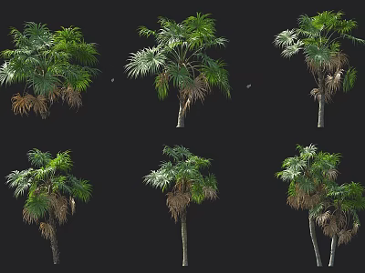 Different Types Of Arbor Trees With Green Leaves And Tall Trunks In Various Forms 3d model