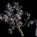Blooming Tree With Purple White Flowers And Standing White Statue Figure