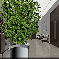 Modern Lobby Interior With Decorative Paintings Green Plants Red Maple Tree And Marble Floor