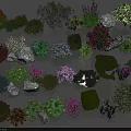 Various Colorful Flowers and Green Plants with Decorative Stones in Natural Arrangement