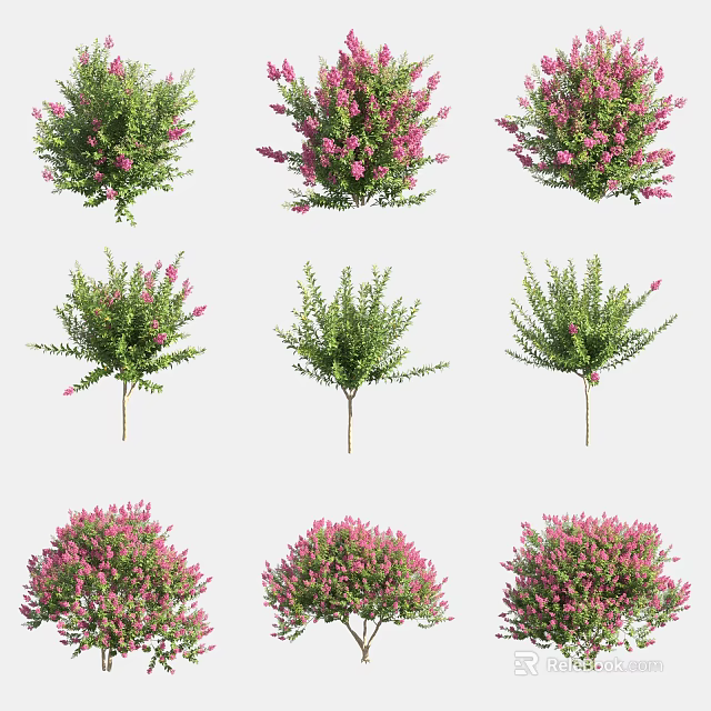 Various Types of Flowering Shrubs With Green Leaves and Pink Blossoms 3d model 