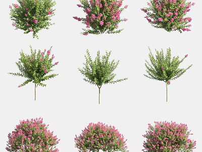 Various Types of Flowering Shrubs With Green Leaves and Pink Blossoms 3d model