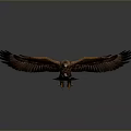 Eagle With Spread Wings Standing On Gray Gradient Background And Ground Reflection