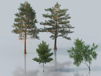 Various Types of Arbor Trees with Different Trunks and Leafy Branches and Reflection 3d model