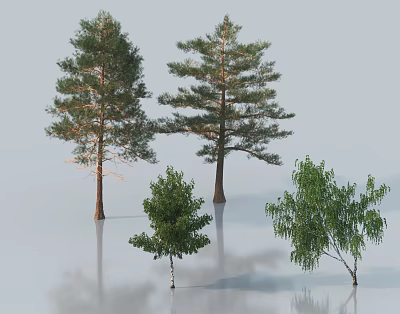 Various Types of Arbor Trees with Different Trunks and Leafy Branches and Reflection 3d model
