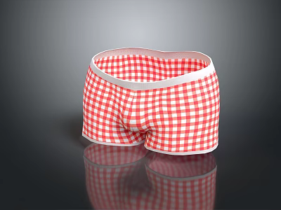 Men's Red And White Checkered Boxer Briefs With Comfortable White Waistband For Casual Wear 3d model